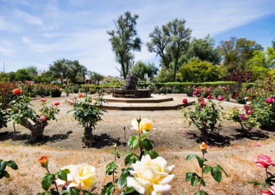 Old Almaden Winery Community - Old Almaden Winery Homes